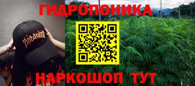 прущие крисы Волгодонск